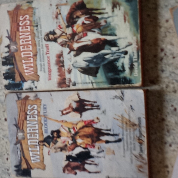 ๐ธVintage books ~| Wilderness + bonus giant special edition - Picture 4 of 4